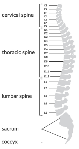 Lumbar Sprains - Lower Back Pain Treatment | 5280 Cryo & Recovery Clinic