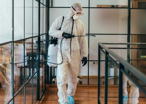 COVID decontamination Fort Collins