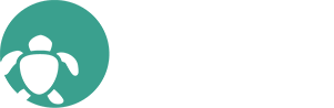 Aegean Dental