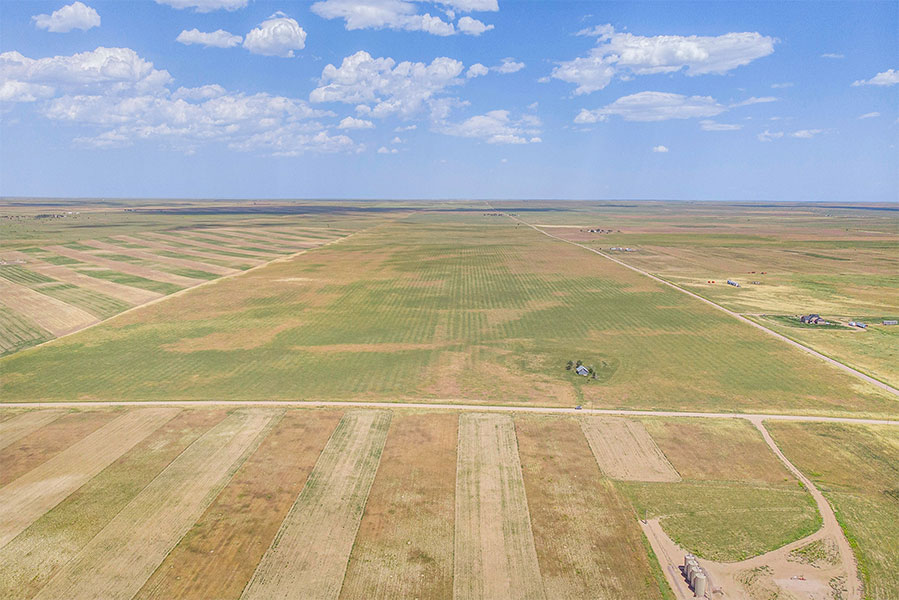 Briggsdale 120 acres +/ AG Professionals