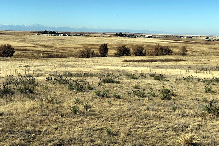 Watkins, CO 20 acres +/ AG Professionals