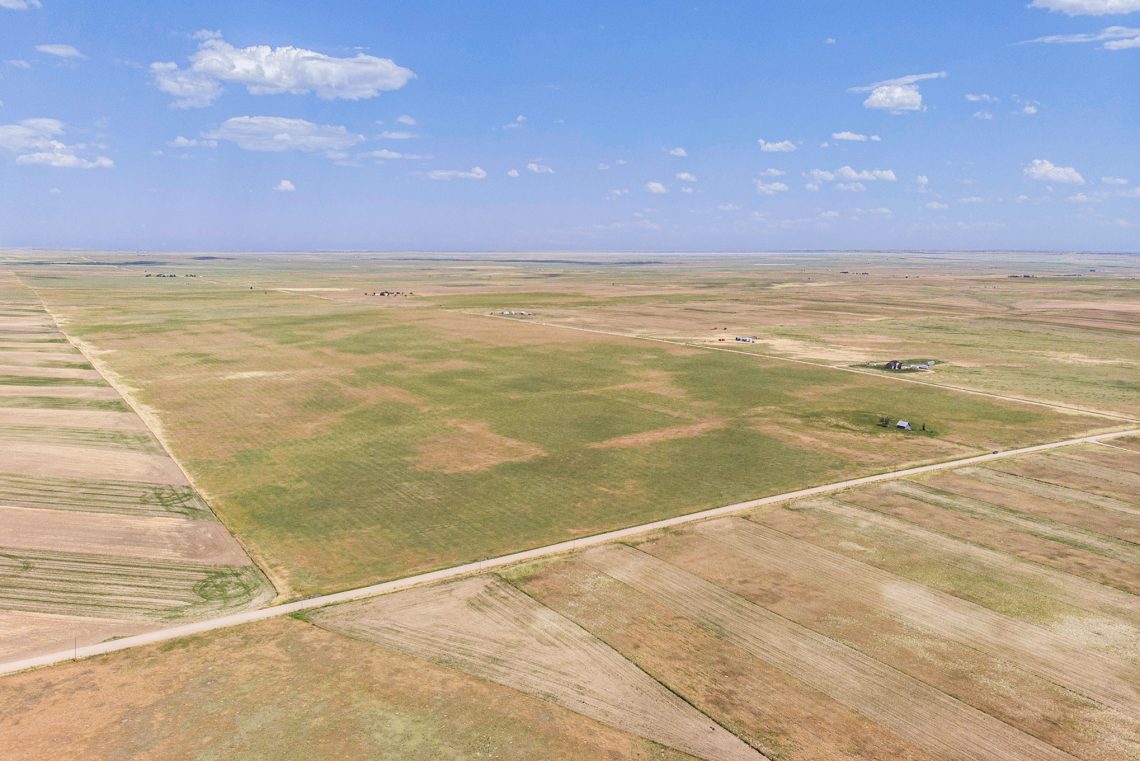 Vacant Land/Native Grass AG Professionals