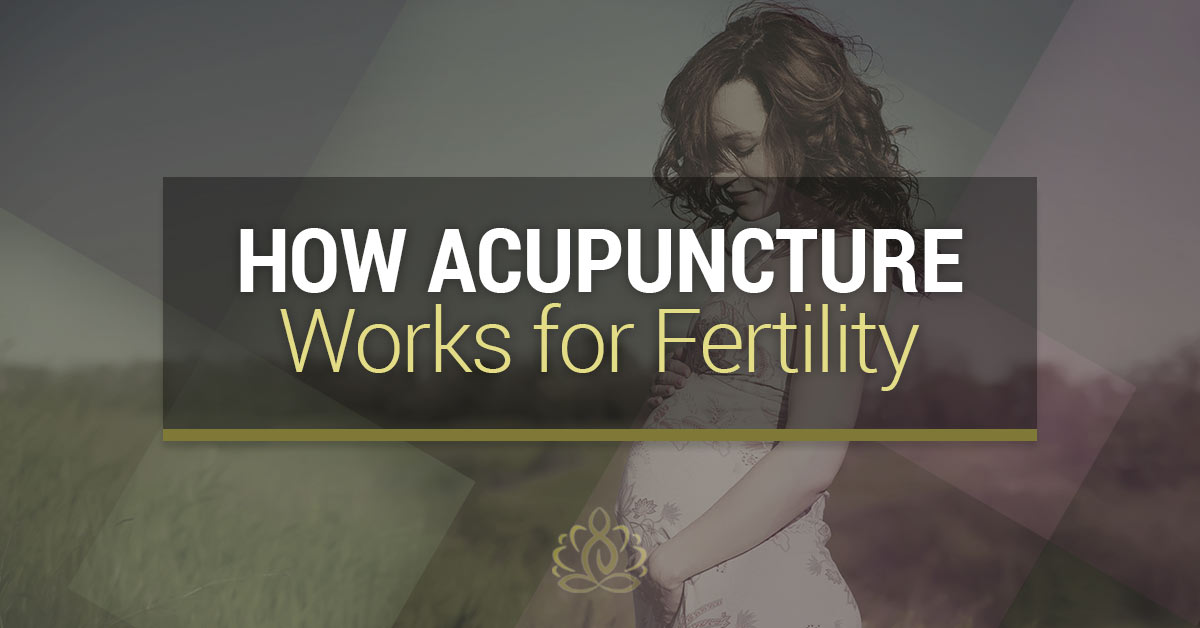 Acupuncture Sarasota How It Works For Fertility