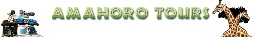 Amahoro Tours