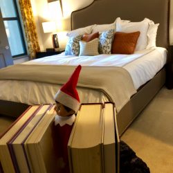 Shows the one bedroom with an elf between books