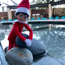 Elf on the shelf picking up rocks by the swimming pool