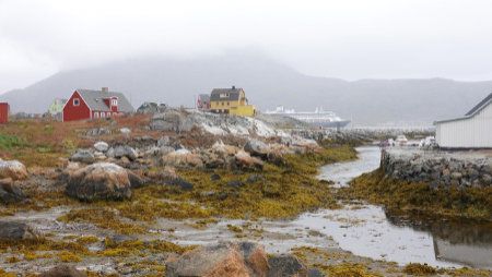 Greenland, mostly bug free