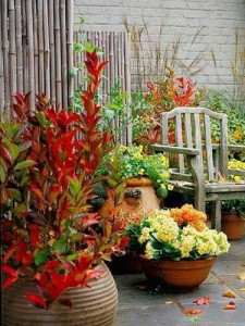 fall-flower-arrangements-backyard-decorating-8-225x300