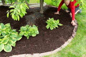 Let us mulch your landscape!