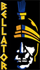 Bellator Roofing and Construction