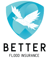 Better Flood Insurance