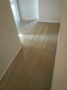 san antonio carpet cleaning