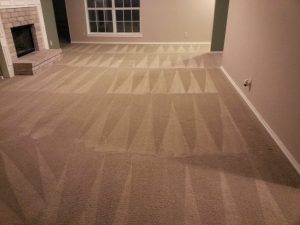 carpet cleaning