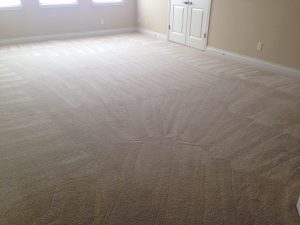 Carpet Cleaning