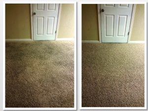 carpet cleaning 