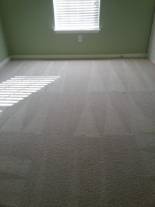 carpet cleaning san antonio