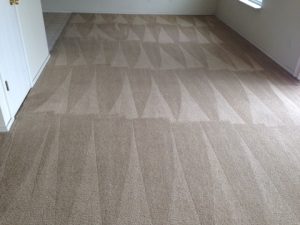 carpet cleaners San Antonio