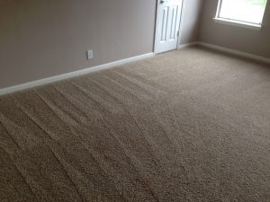 carpet cleaning san antonio