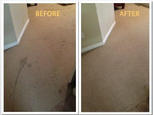 Carpet Cleaning San Antonio