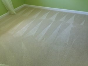 carpet cleaning san antonio