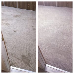 carpet cleaning in san antonio