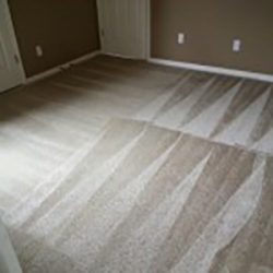 carpet cleaners san antonio