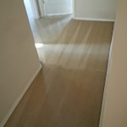 San Antonio Carpet Cleaners
