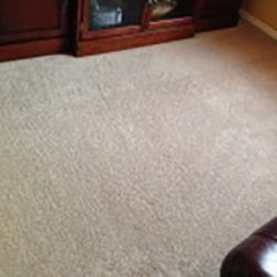 carpet cleaning