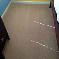 carpet cleaning san antonio