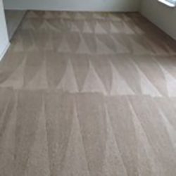 carpet cleaners San Antonio