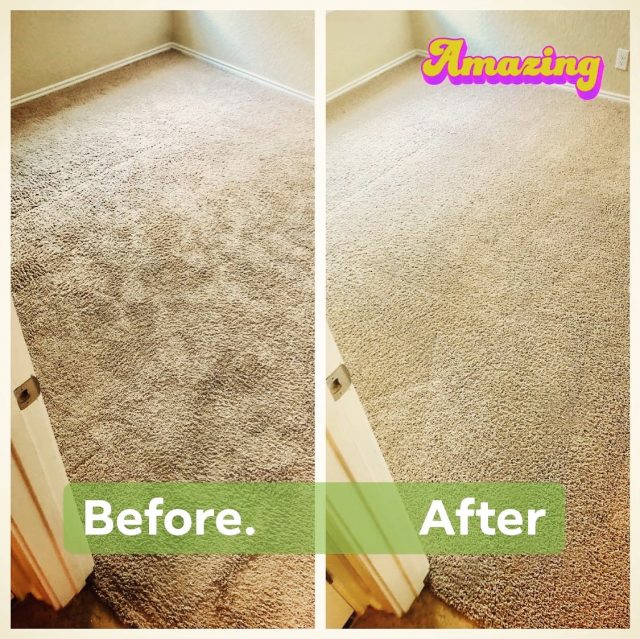 Beyer Carpet Cleaning Carpet Cleaning San Antonio Carpet Cleaners