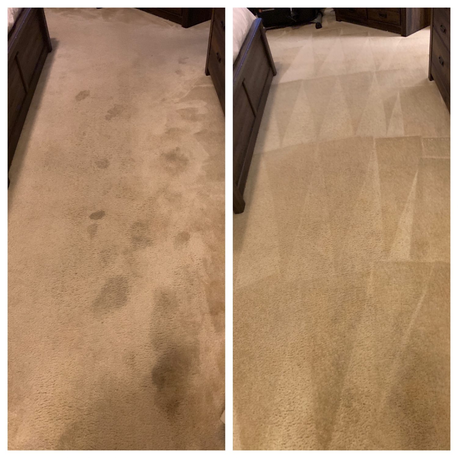 Beyer Carpet Cleaning Carpet Cleaning San Antonio Carpet Cleaners