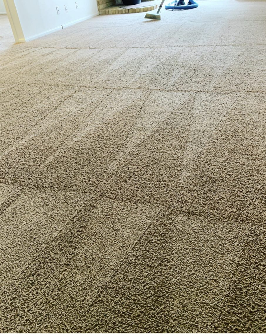 Beyer Carpet Cleaning Carpet Cleaning San Antonio Carpet Cleaners