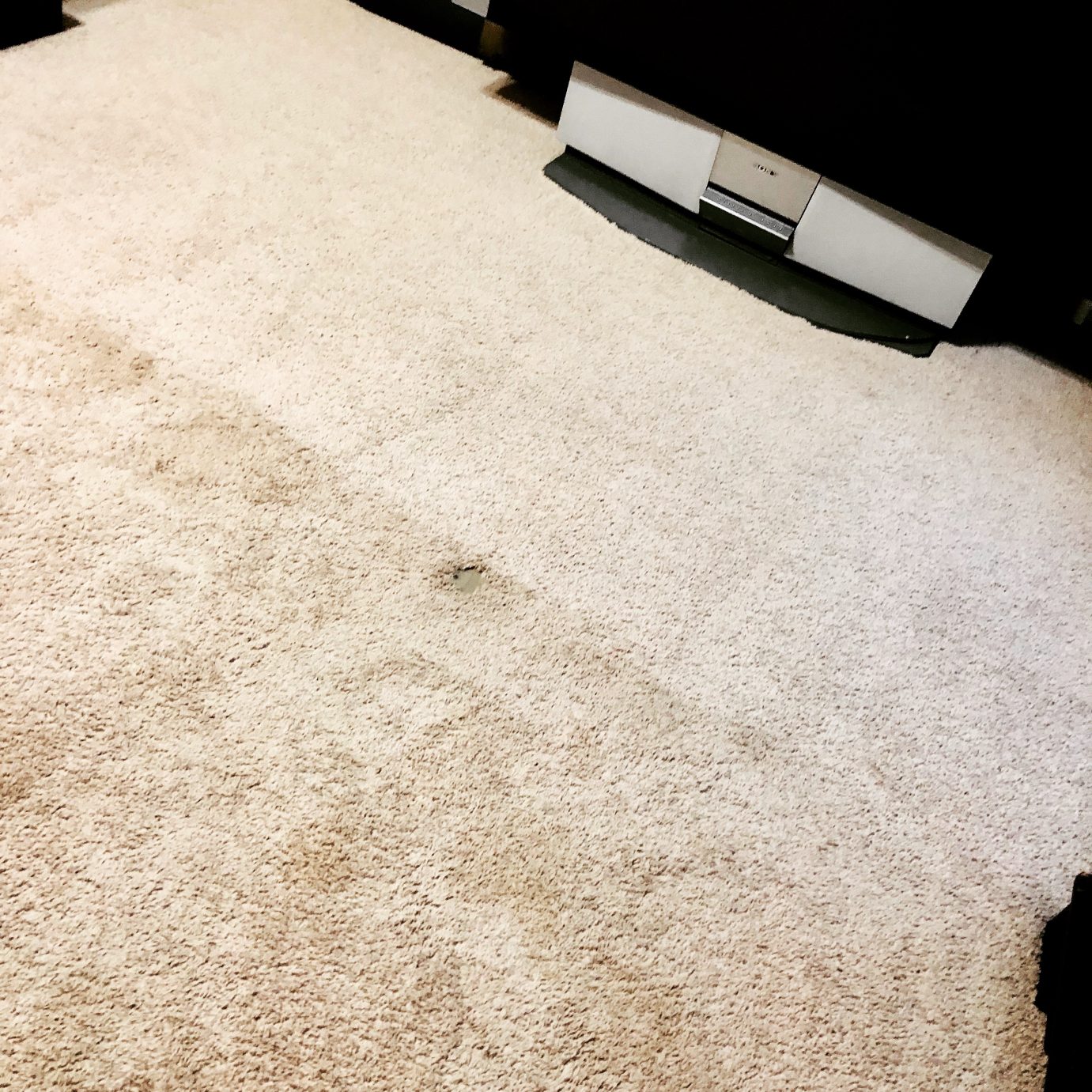 Beyer Carpet Cleaning Carpet Cleaning San Antonio Carpet Cleaners
