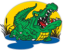 Big Toho Airboat Rides
