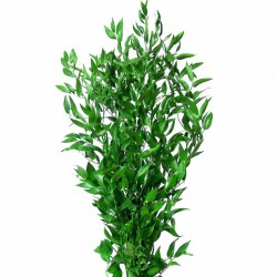 Wedding Flowers: Italian Ruscus