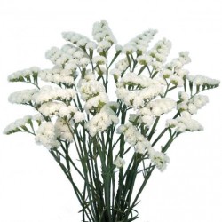 Colorado Wedding Flowers: Limonium