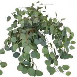 Wedding Flowers: Silver Dollar Eucalyptus