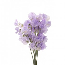 Wedding Flowers: Sweet Peas