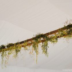 Greenery Adorning A Hanging Ladder