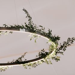 Gorgeous hanging greenery.