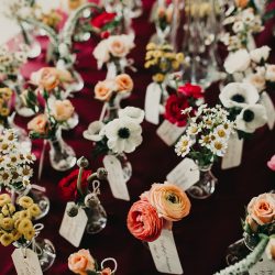 Colorful blooms.