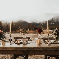 Outdoor table scape by Bliss Wedding Florist.