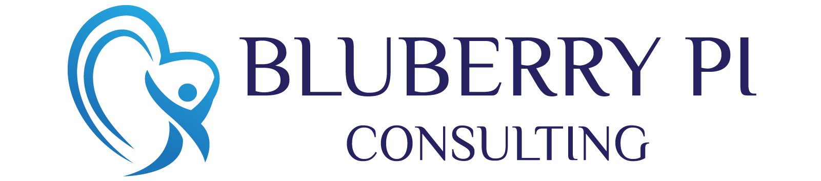 BLUBERRY PI CONSULTING