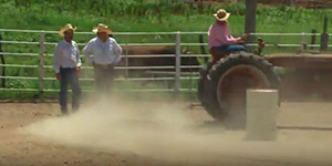 Horse Arena Dust Control