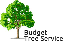 Budget Tree Service