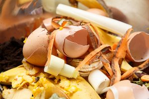 Organic biological kitchen waste, rotten food and leftovers from cooking, prepared for composting. Egg shells, pumpkin, banana and carrot peel.