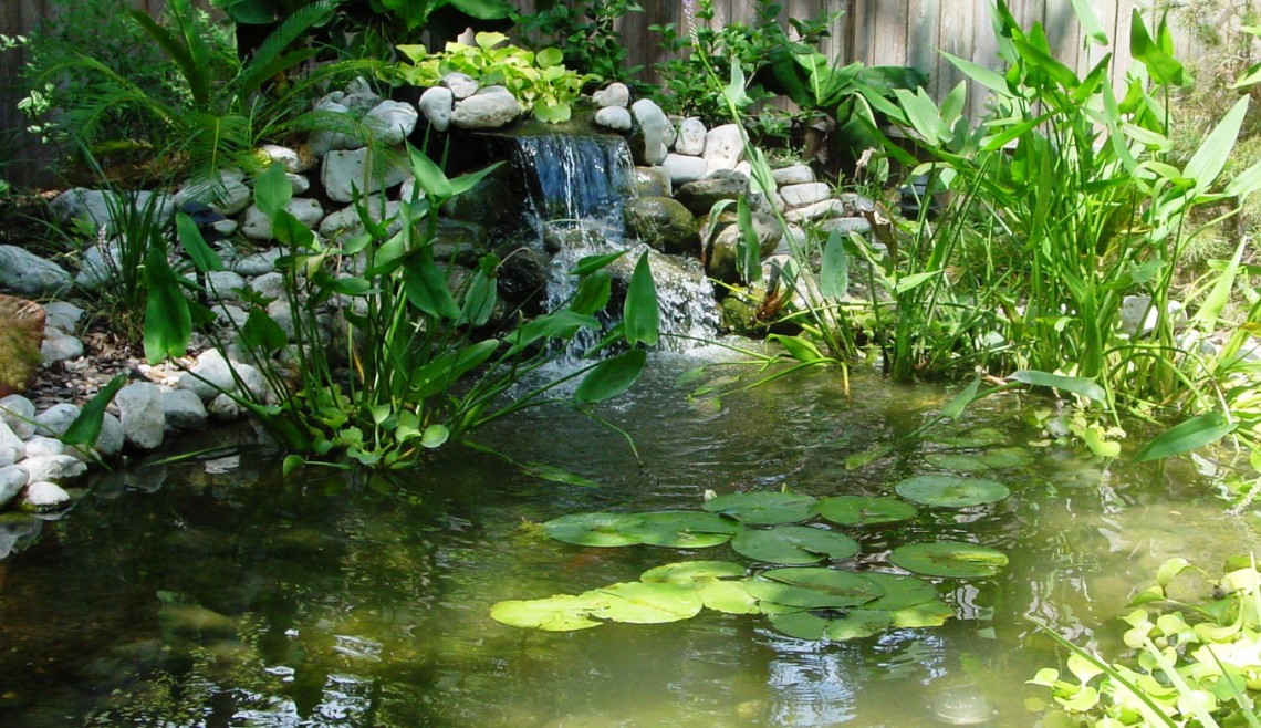 Project Gallery Carrington Lawn & Landscape