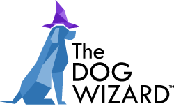 The Cincinnati Dog Wizard