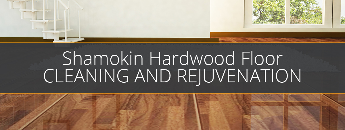 Northumberland County Wood Floor Cleaning Rejuvenate Your Wood